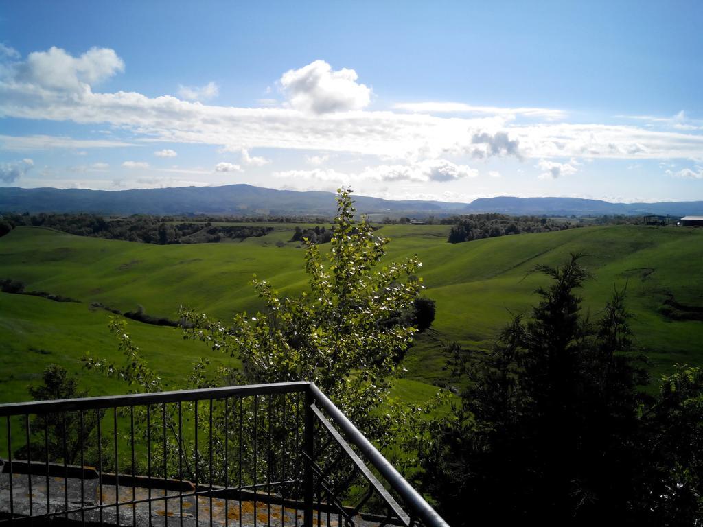 Certine Agriturismo 아시아노 외부 사진
