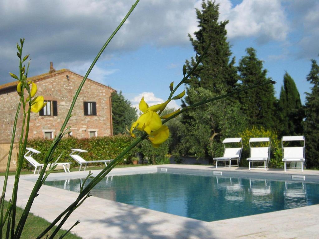 Certine Agriturismo 아시아노 외부 사진