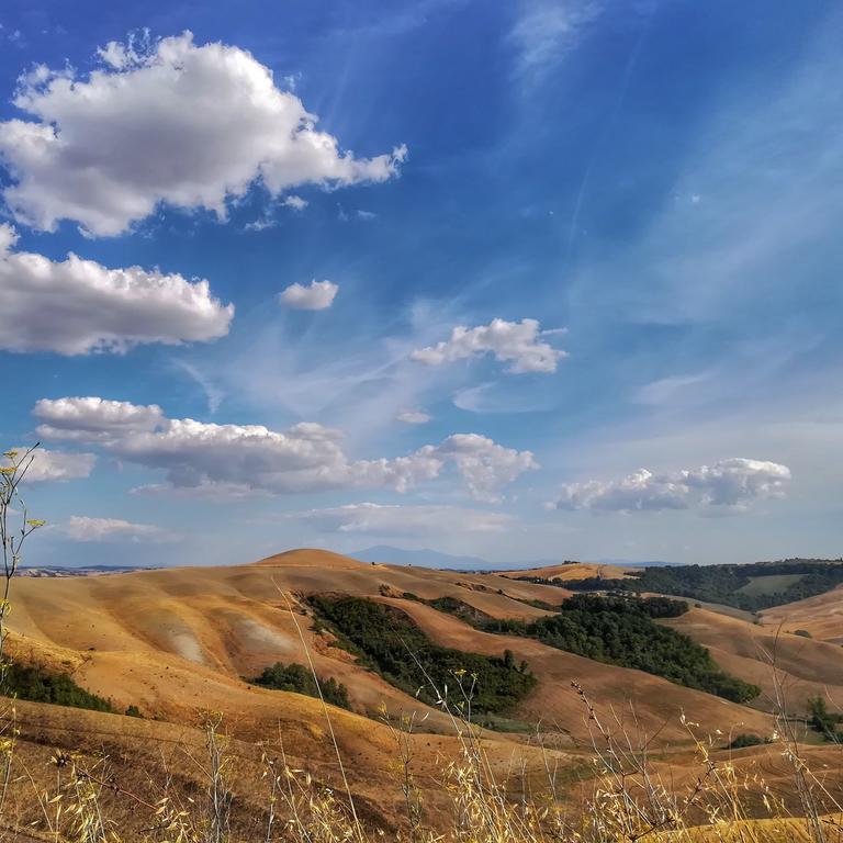 Certine Agriturismo 아시아노 외부 사진